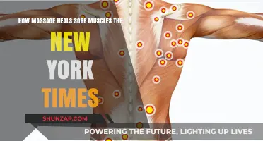 Massage Therapy: The New York Times Guide to Healing Sore Muscles