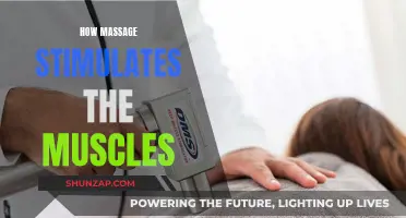 Massage Therapy: Stimulating Muscle Recovery and Performance