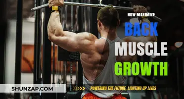 Unlocking Your Back's Potential: A Guide to Maximizing Muscle Growth