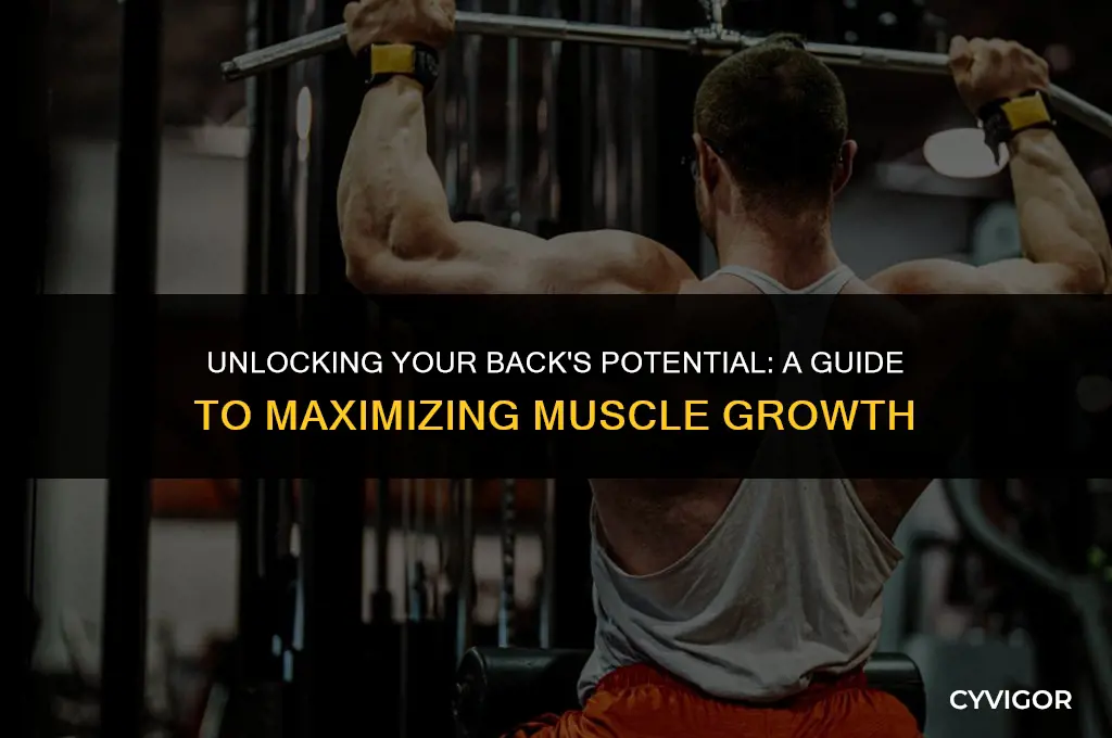 how maximize back muscle growth