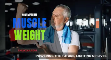 Measuring Muscle Mass: Understanding the Science of Weighing Muscle
