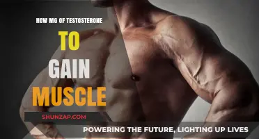 Optimal Testosterone Dosage for Muscle Growth: A Comprehensive Guide