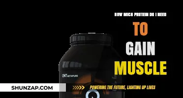 Optimal Protein Intake for Effective Muscle Gain: A Comprehensive Guide