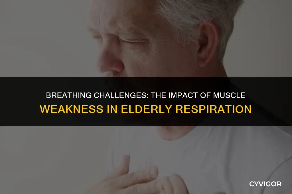 how might an elderly person