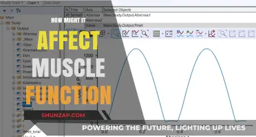 Exploring the Impact of [Variable] on Muscle Function and Performance