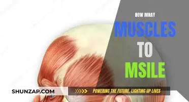 Moving Muscles: The Science of Smiling