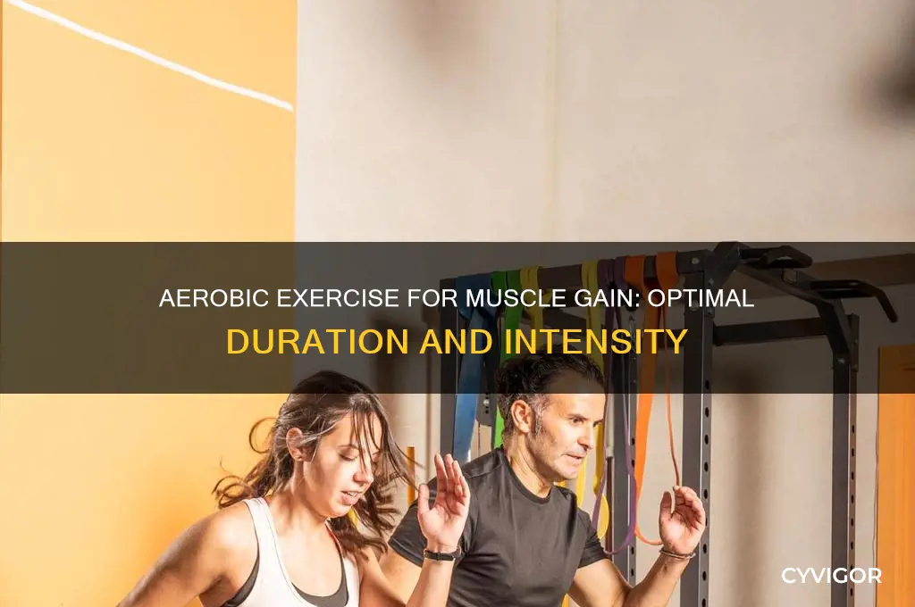 how much aerobic exercise to gain muscle