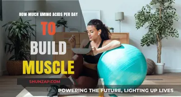 Optimizing Muscle Growth: Your Daily Amino Acid Blueprint