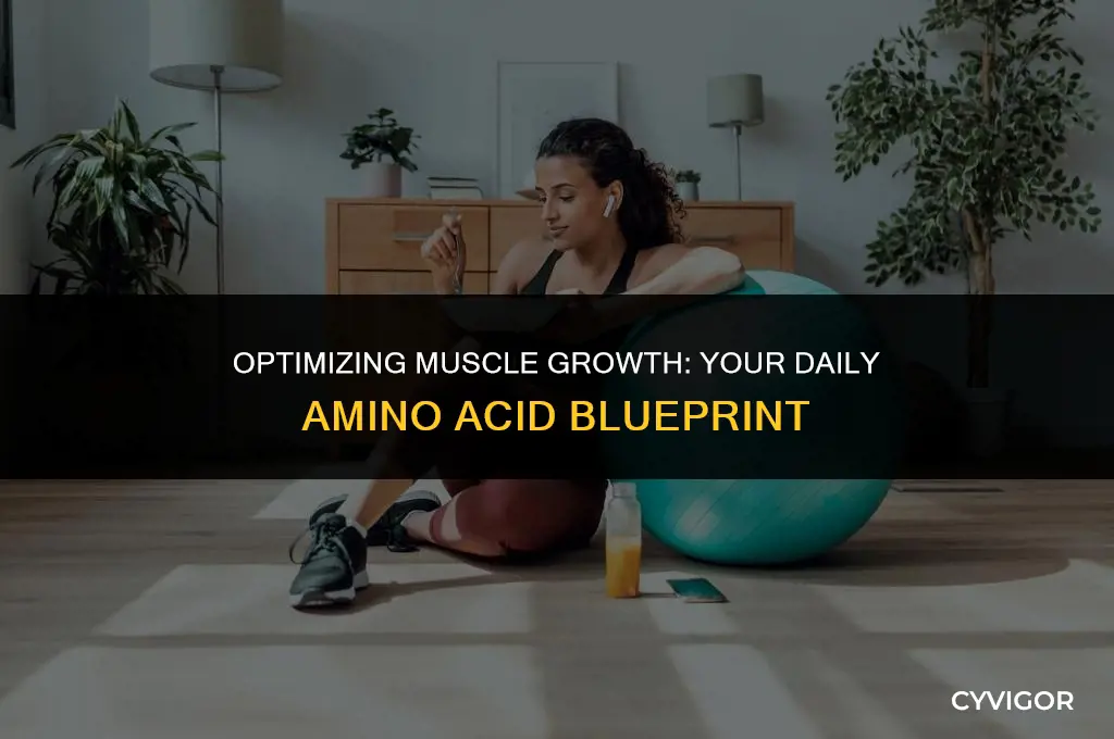 how much amino acids per day to build muscle