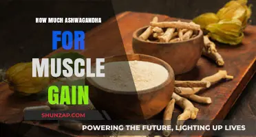 Ashwagandha Dosage for Muscle Gain: Optimal Amounts Explained