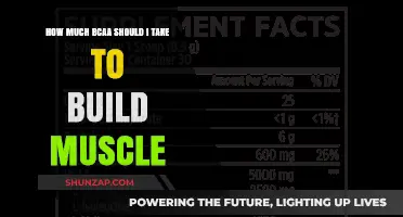Unlocking Muscle Growth: The Optimal BCAA Dosage Guide