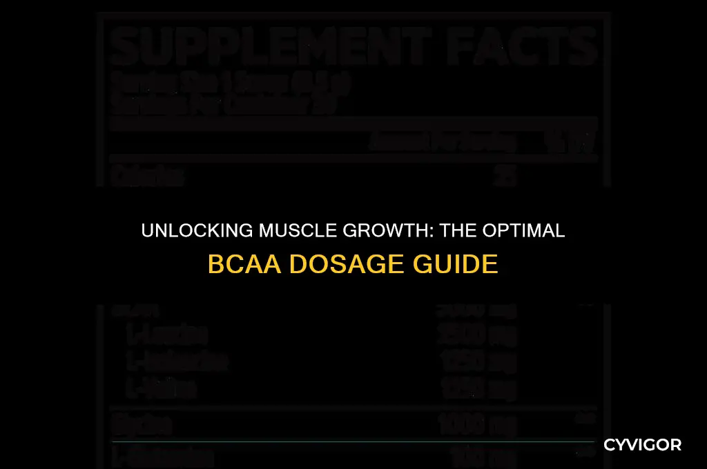 how much bcaa should i take to build muscle