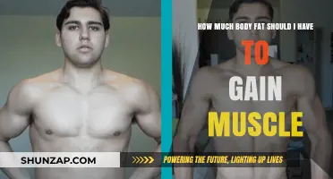 Optimal Body Fat Percentage for Muscle Gain: What You Need to Know