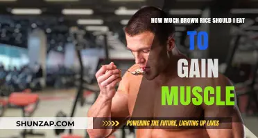 Brown Rice for Muscle Gain: Optimal Serving Size Guide