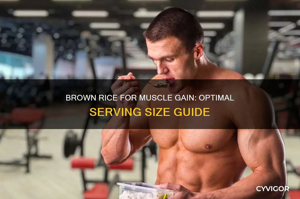 Brown Rice For Muscle Gain: Optimal Serving Size Guide | CyVigor