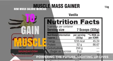 Calorie Boost for Muscle Gain: How Much is Enough?