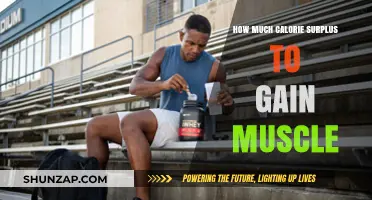 Optimal Calorie Surplus for Effective Muscle Gain Strategies