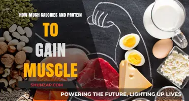 Calories and Protein: The Ultimate Guide to Muscle Gain