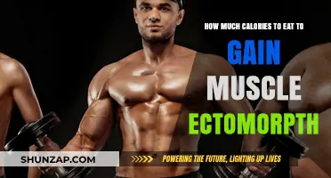 Ectomorph Muscle Gain: Calorie Intake Guide for Optimal Growth