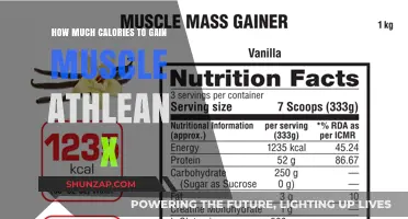 Athlean X Muscle Gain: Calorie Intake Guide for Optimal Results