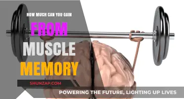 Unlocking Strength: The Power and Potential of Muscle Memory