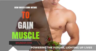 Optimal Carb Intake for Muscle Gain: Fuel Your Growth Effectively