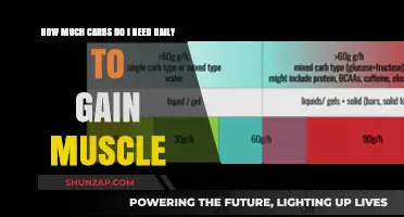 Daily Carb Intake for Muscle Gain: Essential Guide for Fitness Enthusiasts