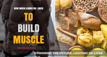 Fueling Your Gains: The Essential Carb Intake for Muscle Building