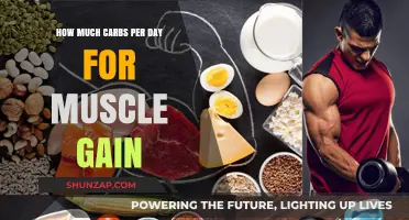 Optimal Carb Intake for Muscle Gain: Daily Guidelines Explained