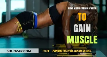 Cardio for Muscle Gain: Weekly Balance for Optimal Results