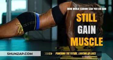 Cardio and Muscle Gain: Balancing Aerobic Exercise for Strength Growth