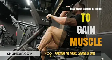 Cardio for Muscle Gain: Finding the Right Balance for Growth