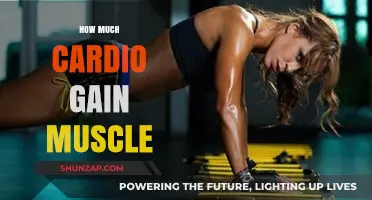 Cardio and Muscle Gain: Balancing Aerobic Exercise for Strength Growth