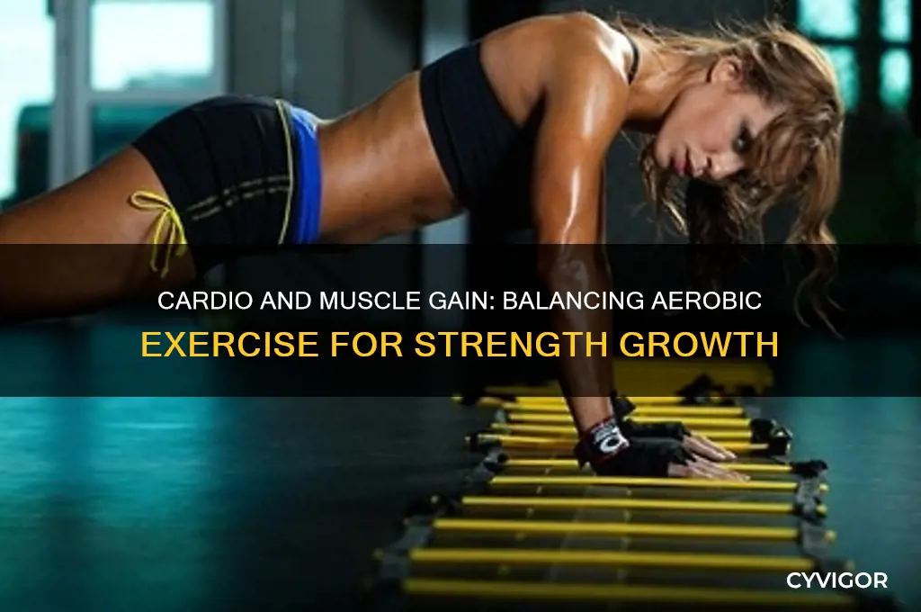 how much cardio gain muscle