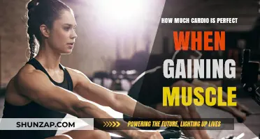 Balancing Cardio and Muscle Gain: Finding the Perfect Routine