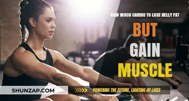 Cardio Balance: Shed Belly Fat, Build Muscle Effectively