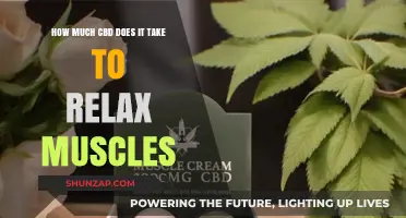 Effective CBD Dosage for Muscle Relaxation: Finding Your Calm