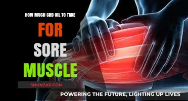 Effective CBD Oil Dosage for Relieving Sore Muscles: A Guide