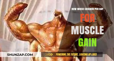 Optimal Chicken Intake for Daily Muscle Gain: A Nutrition Guide