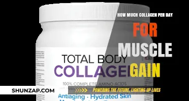 Optimal Collagen Intake for Muscle Gain: Daily Dosage Guide