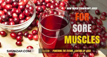 Cranberry Juice for Sore Muscles: Optimal Amounts and Benefits