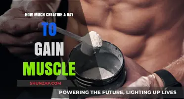 Optimal Creatine Dosage for Muscle Growth: Daily Intake Guide