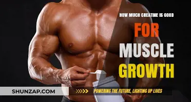 Optimal Creatine Dosage for Effective Muscle Growth and Strength Gains