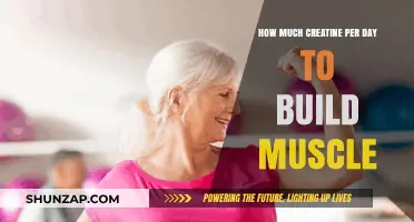 Daily Creatine Intake: The Optimal Dose for Muscle Building
