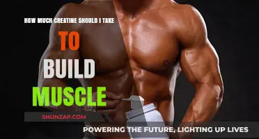 Unlocking Muscle Growth: Your Guide to Creatine Supplementation