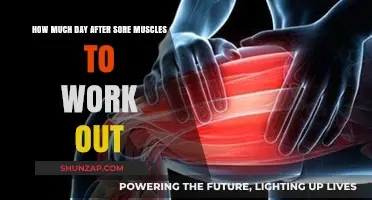 Sore Muscles Recovery: When to Safely Return to Your Workout Routine