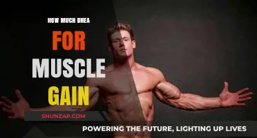 DHEA Dosage for Muscle Gain: Optimal Levels and Benefits Explained