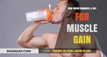 Optimal Dianabol Dosage for Muscle Gain: Daily Guide and Tips