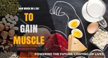 Fuel Your Muscle Growth: Optimal Eating for Strength and Size