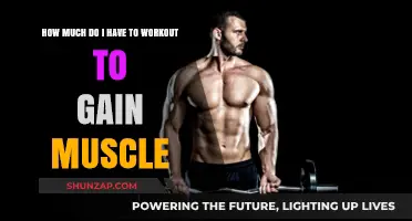 Effective Workout Frequency for Muscle Gain: A Comprehensive Guide